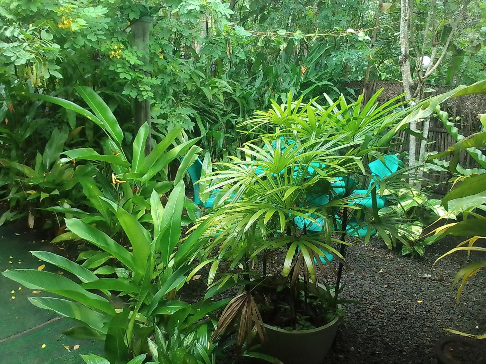 Hiriketiya Mahi Surf Apartment ดิคเวลลา ภายนอก รูปภาพ
