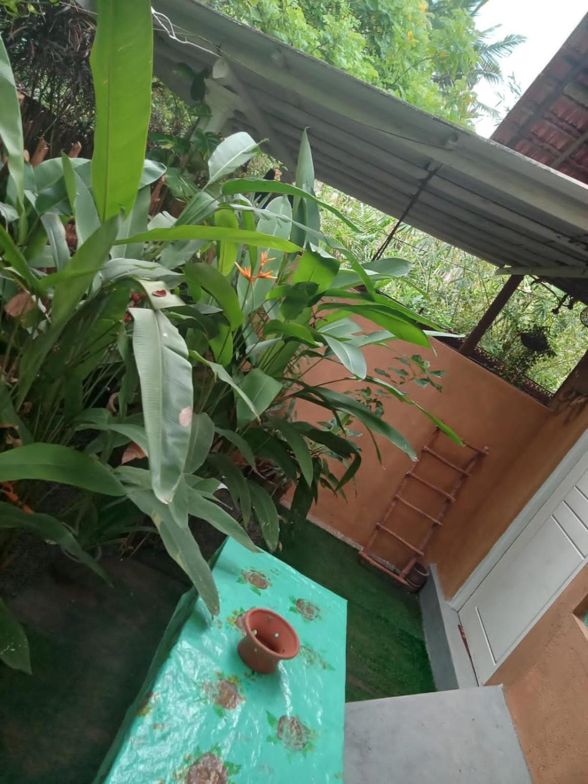 Hiriketiya Mahi Surf Apartment ดิคเวลลา ภายนอก รูปภาพ
