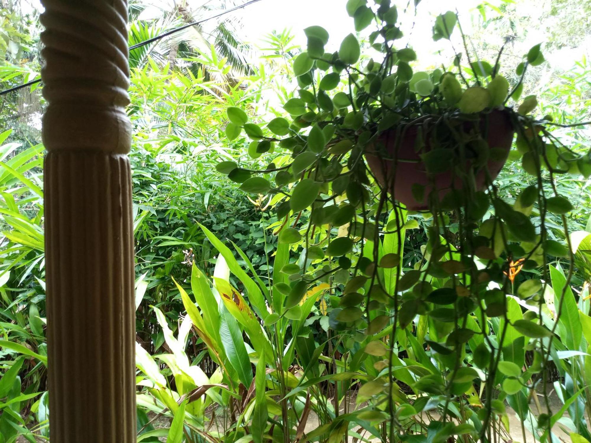 Hiriketiya Mahi Surf Apartment ดิคเวลลา ภายนอก รูปภาพ
